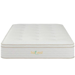 Harvest Green Pillow Top Mattress Reviews (2026)