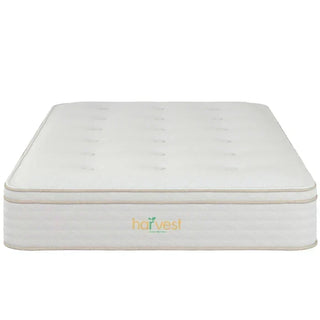 Harvest Green Pillow Top Mattress Reviews (2026)