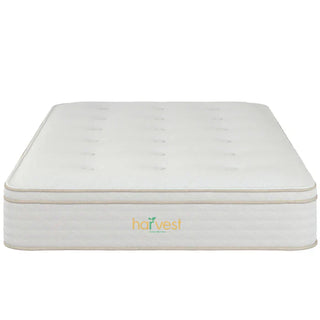 Harvest Green Pillow Top Mattress Reviews (2026)