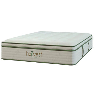 Harvest Green Vegan Pillowtop Mattress Reviews (2026)