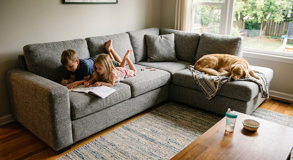 Performance Fabric vs Velvet Sofa: How to Choose?