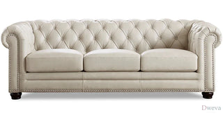 Hydeline Aliso Leather Sofa Review (2026)