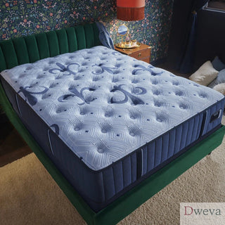 D & D Mattress Review