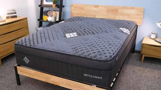 Intellibed Matrix Grand Mattress Reviews (2026)