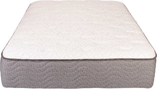 Jamison Autograph Collection Hudson Bay Mattress Reviews (2026)