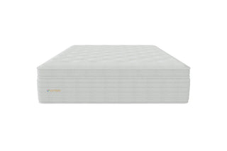 Joybed LXP Euro Pillowtop Mattress Reviews (2026)