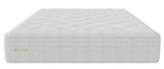 Joybed LX Mattress Reviews (2026)
