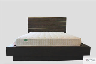 Palmpring Mattress Review