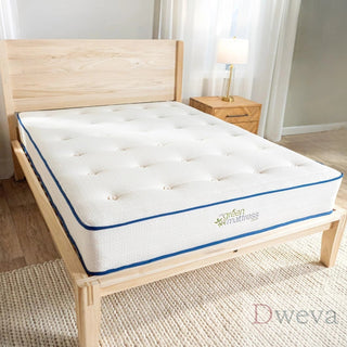 Kiwi Mattress Reviews (2026)