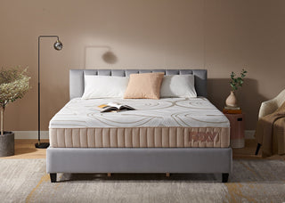 Lady Americana Paxy Mattress Reviews (2026)