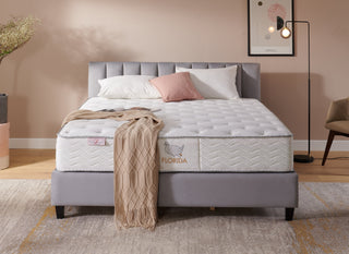 Lady Americana Florida Mattress Reviews (2026)