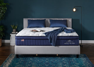 Lady Americana Intelli Tri-Zone Mattress Reviews (2026)