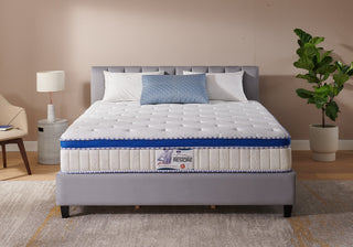 Lady Americana Restore Mattress Reviews (2026)