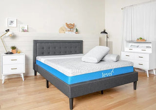 Level Sleep TriSupport Mattress Reviews (2026)
