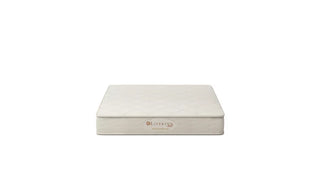 Lifekind Euro Soft Top Mattress Reviews (2026)
