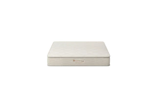 Lifekind The Euro Mattress Reviews (2026)