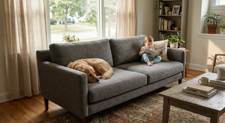 How to Choose a Sofa Color?