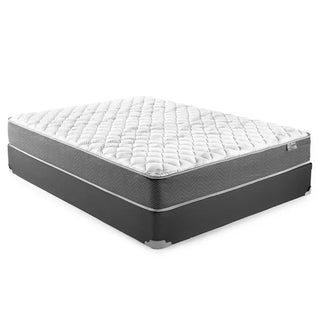 Mockingbird Firm Top Mattress Reviews (2026)