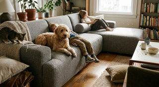 How to Choose a Bouclé Sofa