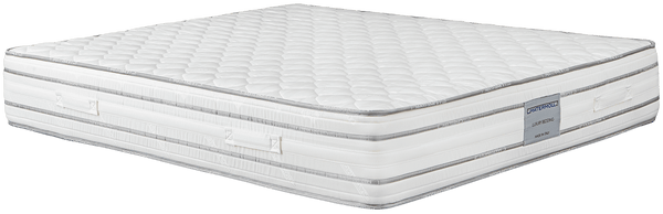 Matermoll Arturo New Plus Mattress Reviews (2026)