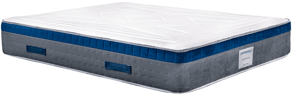 Matermoll Beverly Mattress Reviews (2026)