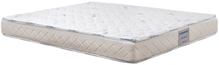 Matermoll Eco Mattress Reviews (2026)