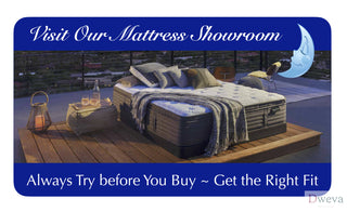 Easy Chair Plus and Mattress Reviews