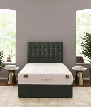 Millbrook Hampshire I Mattress Reviews (2026)