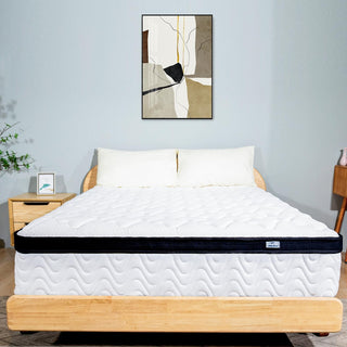 Molbius 10-Inch Hybrid Mattress Reviews (2026)