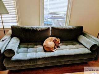 Article Sven 88" Tufted Velvet Sofa — Best Mid-Century Velvet Sofa