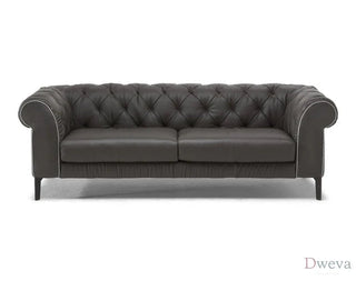 Natuzzi Italia Orfeo 3028 Sofa Review (2026)
