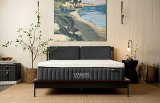 Nest Bedding Starling Signature Contour Grid Mattress Reviews (2026)