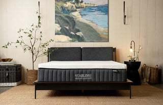 Starling Signature Contour Grid Mattress Reviews (2026)