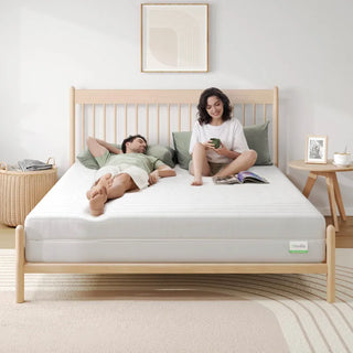 Novilla Snug Memory Foam Mattress Reviews (2026)
