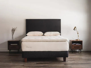 Obasan Grand Mattress Reviews (2026)