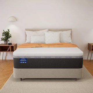 Ortho Continental II Firm Mattress Reviews (2026)