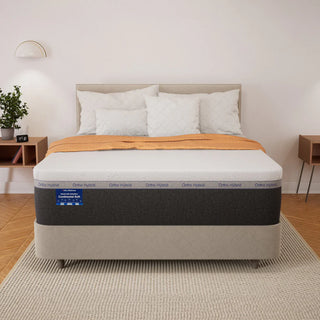 Ortho Hybrid Continental II Soft Mattress Reviews (2026)