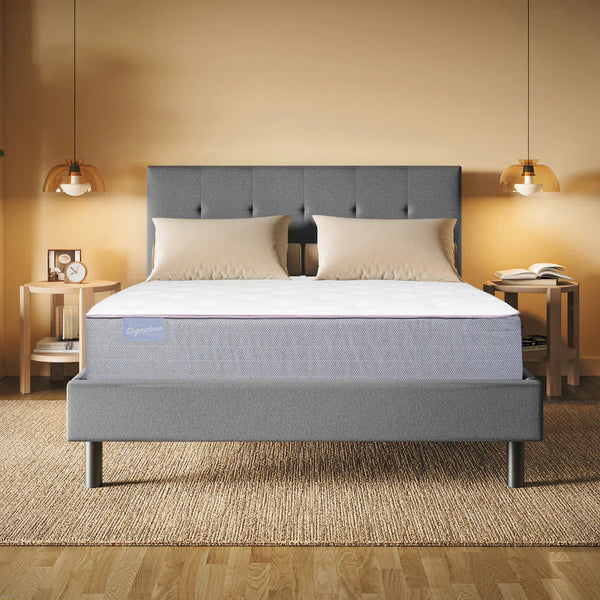 Ortho Mattress Club Signature II Plush Mattress Reviews (2026)