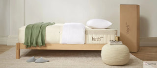 Mattress Brands