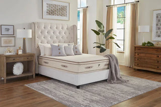 PlushBeds Botanical Bliss Organic Latex Mattress Reviews (2026)