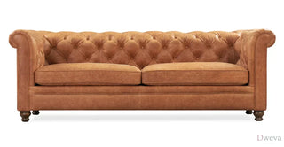 Poly & Bark Lyon Sofa Review (2026)