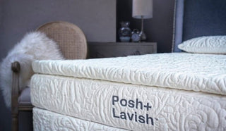 Posh+Lavish Prestige True Pillow Top Mattress Reviews (2026)