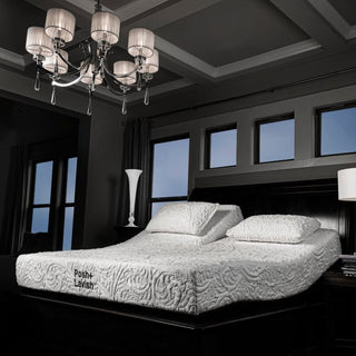 Posh+Lavish Reveal Mattress Reviews (2026)