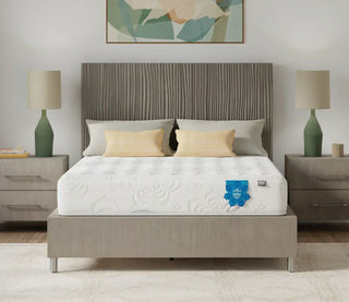 PranaSleep Asha Classic 3.0 Mattress Reviews (2026)