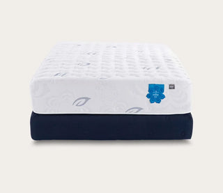 PranaSleep Asha Luxe 3.0 Mattress Reviews (2026)