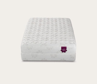 PranaSleep Dharma Classic Mattress Reviews (2026)