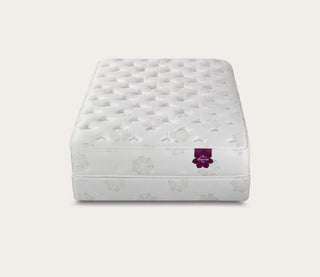 PranaSleep Dharma Luxe Plush Mattress Reviews (2026)