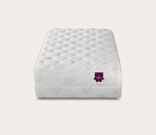 PranaSleep Dharma Luxe Plush Mattress Reviews (2026)