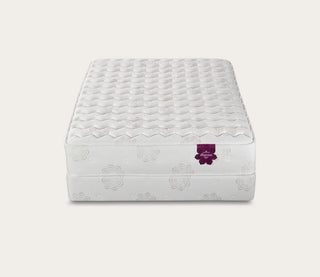 PranaSleep Dharma Select Firm Mattress Reviews (2026)