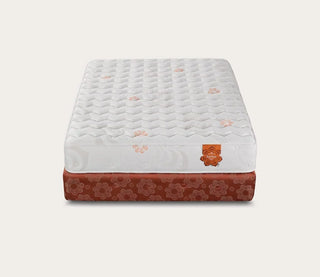 PranaSleep Karma Classic Firm Mattress Reviews (2026)